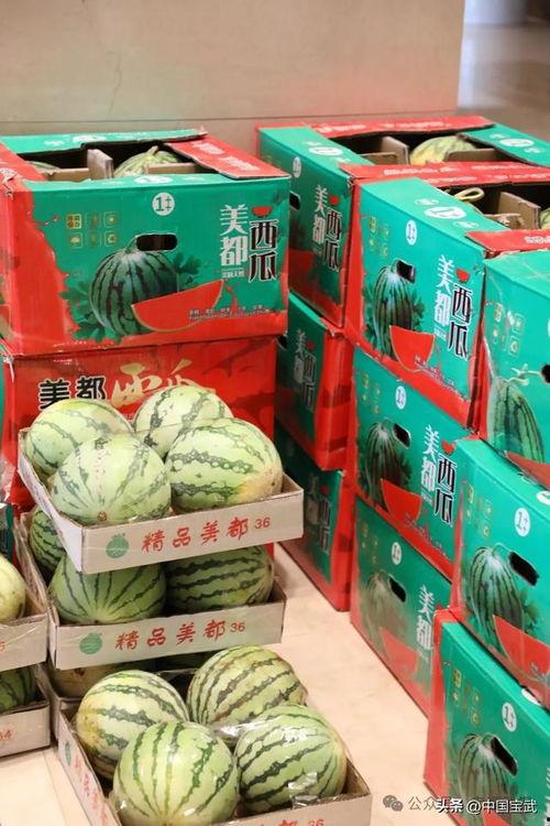 河津吃瓜最新事件爆料,揭秘背后惊人真相！  第3张